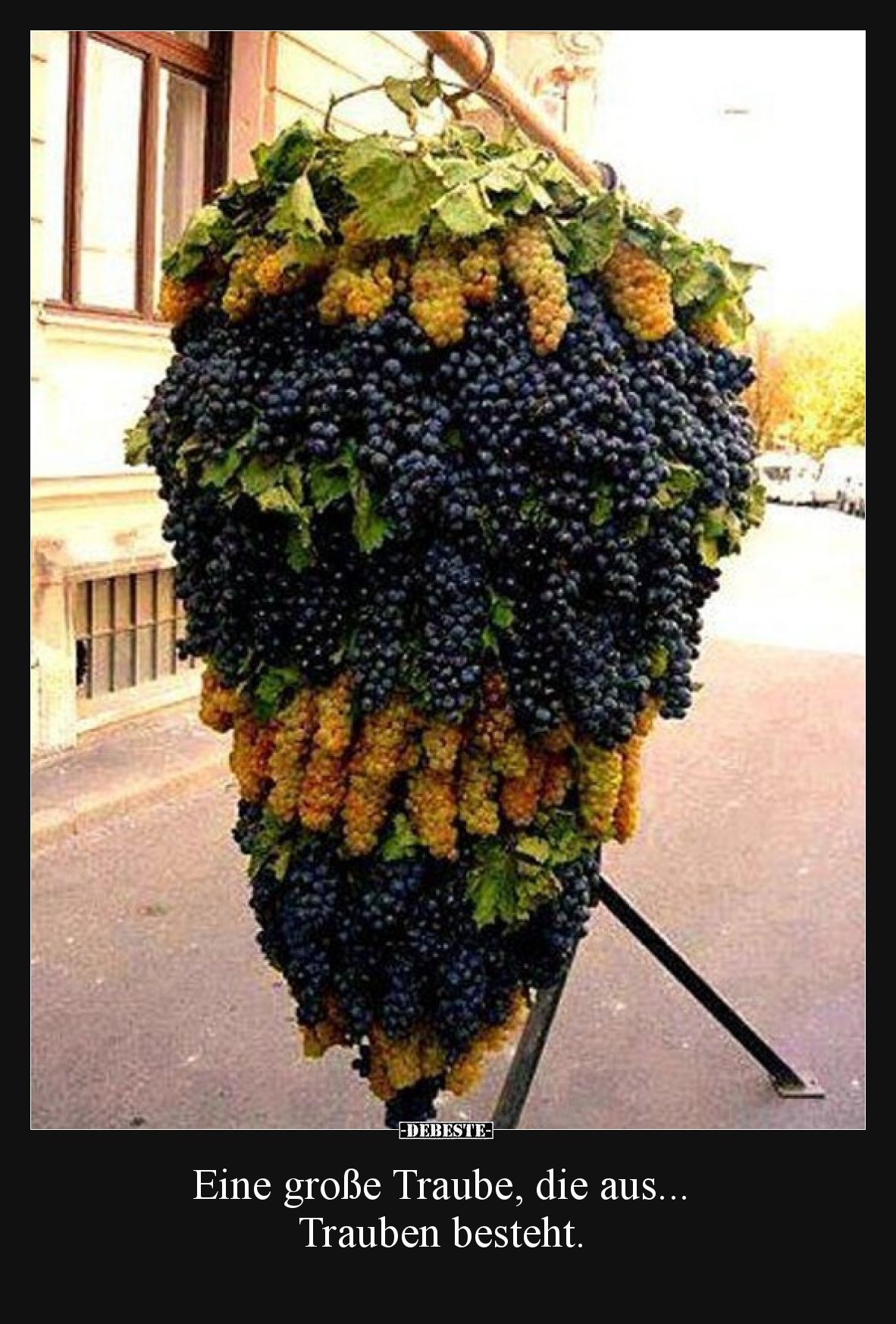 Eine große Traube, die aus... Trauben besteht.