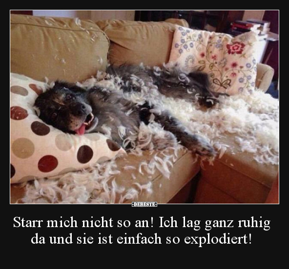 Starr mich nicht so an! Ich lag ganz ruhig da und sie ist..