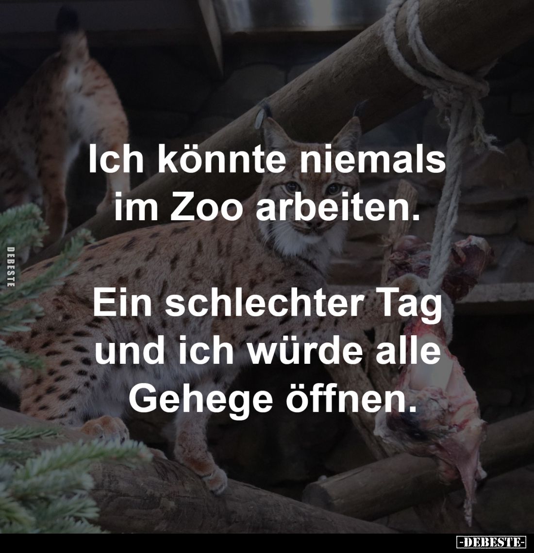 Ich könnte niemals 
im Zoo arbeiten. 

Ein schlechter Tag 
und ich würde alle 
Gehege öffnen.
