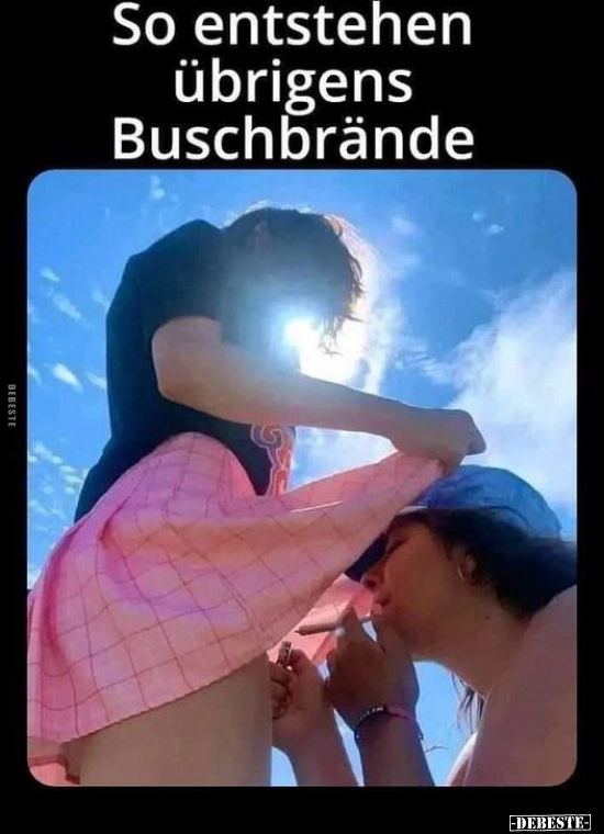 So entstehen übrigens Buschbrände.. - Lustige Bilder | DEBESTE.de