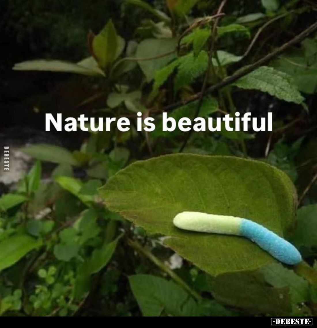 Nature is beautiful
