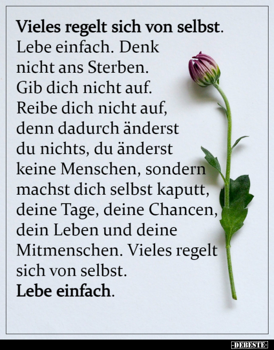 Vieles regelt sich von selbst. Lebe einfach...