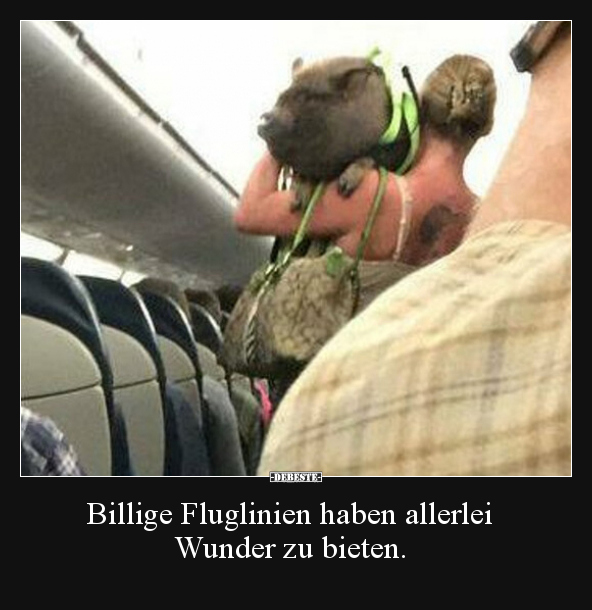 Billige Fluglinien haben allerlei Wunder zu bieten... - Lustige Bilder | DEBESTE.de