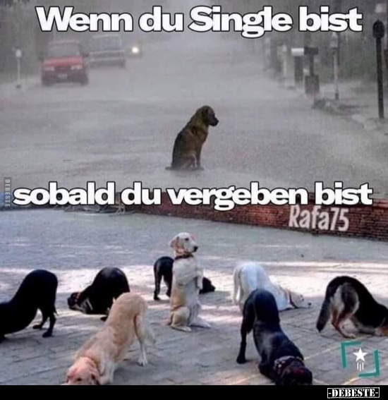 Wenn du Single bist sobald du vergeben bist.. - Lustige Bilder | DEBESTE.de