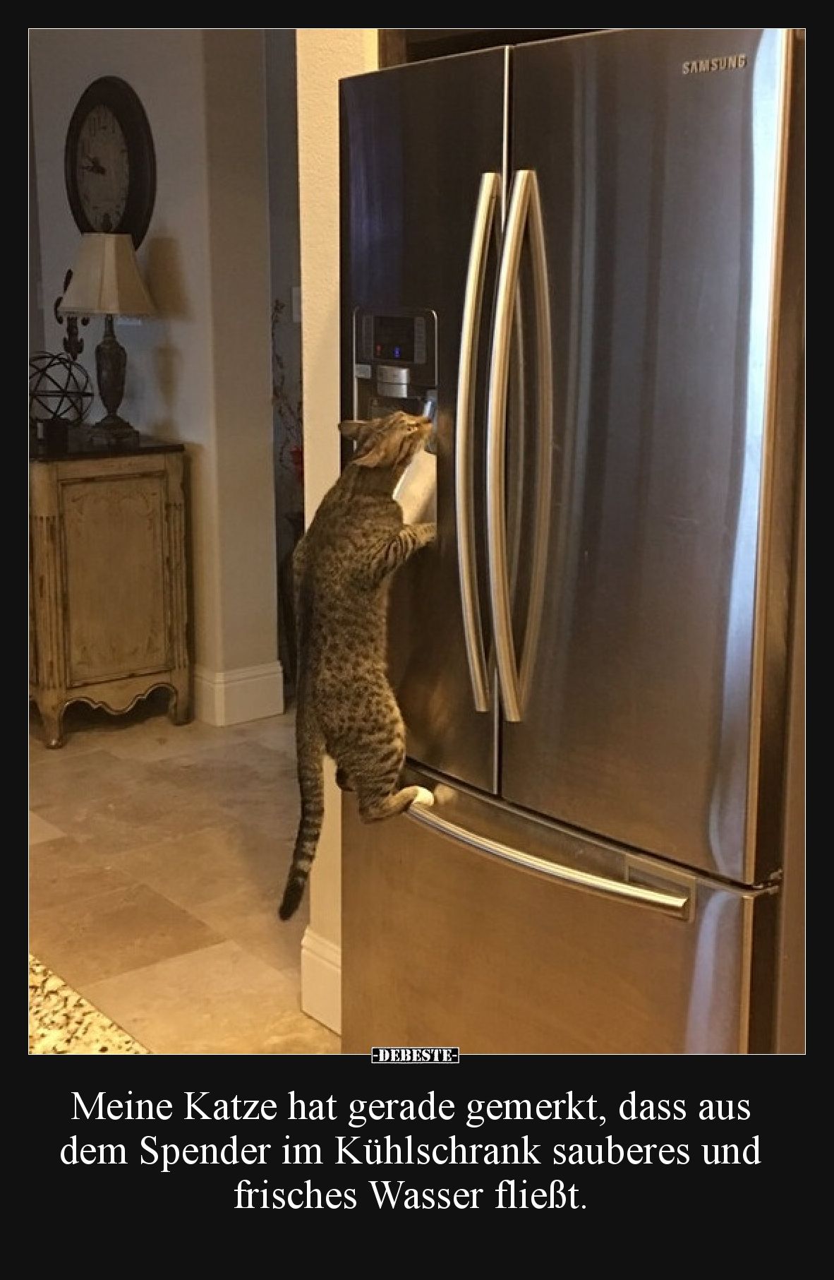 Meine Katze hat gerade gemerkt, dass aus dem Spender im Kühlschrank sauberes und frisches Wasser fließt.