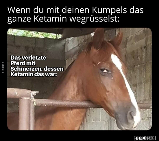 Wenn du mit deinen Kumpels das ganze Ketamin.. - Lustige Bilder | DEBESTE.de