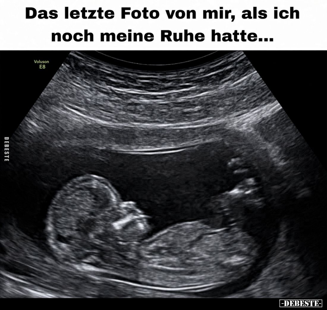 Das letzte Foto von mir, als ich noch meine Ruhe hatte... - Lustige Bilder | DEBESTE.de