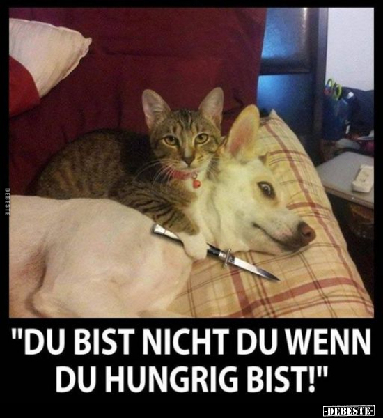 "Du bist nicht du wenn du hungrig bist!".. - Lustige Bilder | DEBESTE.de