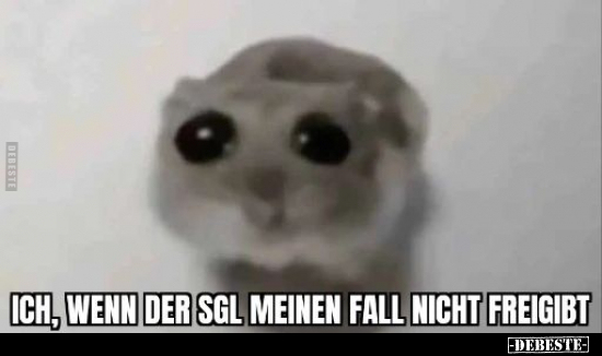 Ich, wenn der SGL meinen Fall nicht freigibt.. - Lustige Bilder | DEBESTE.de