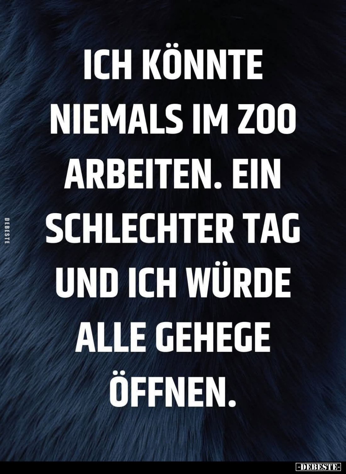 Ich könnte niemals im Zoo arbeiten. Ein schlechter Tag und ich würde alle Gehege öffnen.