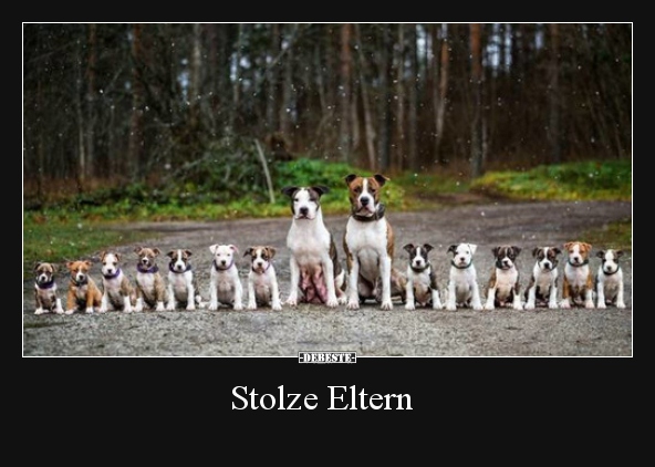 Stolze Eltern..